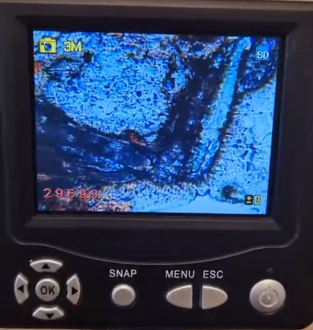 Video demodexmijt
